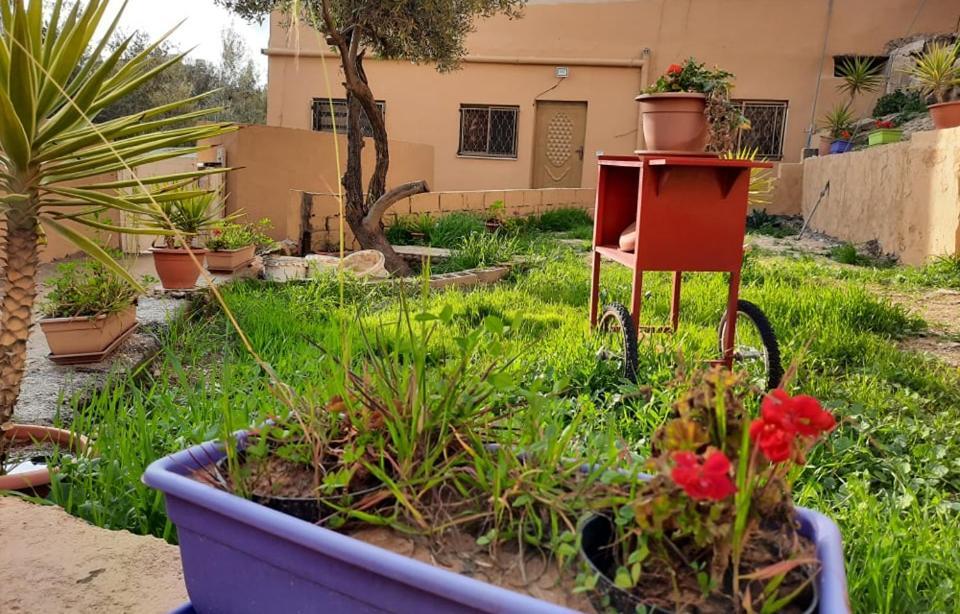 Emile Altwal Madaba Apartment Luaran gambar